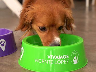 Cada vez son más los comercios pet friendly en Vicente López